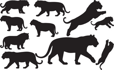 Amur Tiger Silhouette – Minimal Vector Illustration on White Background