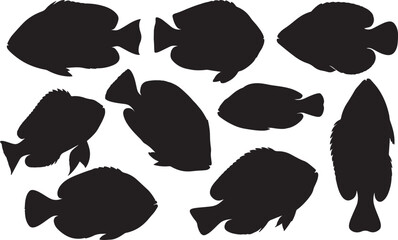 Anemone Fish Silhouette – Minimal Vector Illustration on White Background