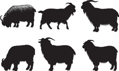Angora Goat Silhouettes