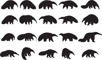 Anteater Silhouettes