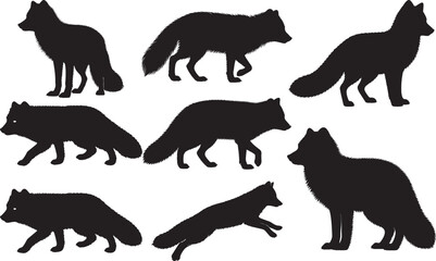 Arctic Fox Silhouettes