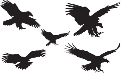 Bearded Vulture