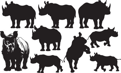 Black Rhinoceros Calf