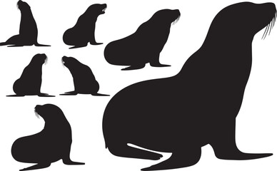 California Sea Lion Silhouettes