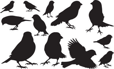 Canary Bird Silhouettes