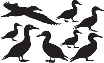 Cape Gannet Silhouette