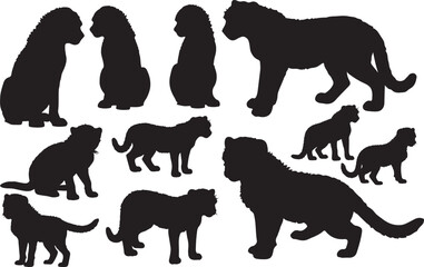 Cheetah Cub Silhouettes