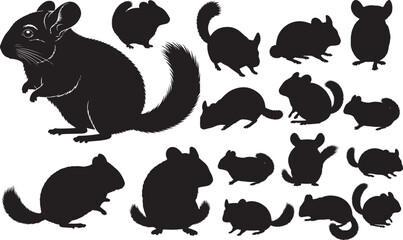 Chinchilla Silhouettes