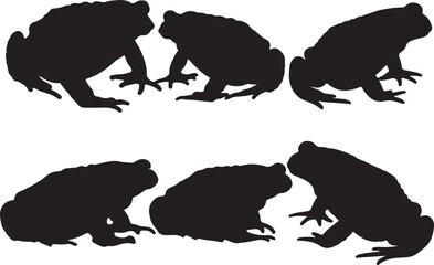 Common Toad Silhouettes