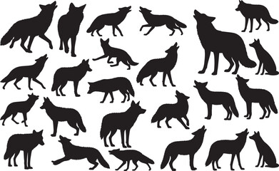 Coyote Silhouettes