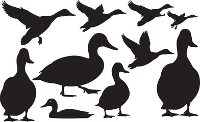 Canvasback Silhouette