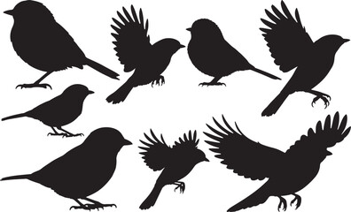 Chestnut-backed Chickadee Silhouette