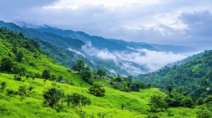 Obraz premium Lush Green Mountain Landscape