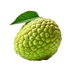 Fototapeta premium Custard Apple Close-up on transparent background