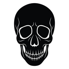 Skull isolated on white background