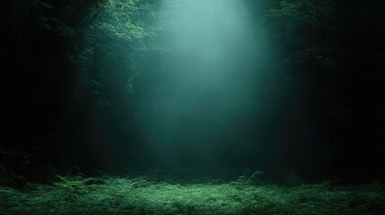 Obraz premium Mysterious Forest Clearing