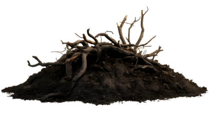 Abstract Isolated Transparent Pile Of Burnt Wood Charcoal Nature Texture