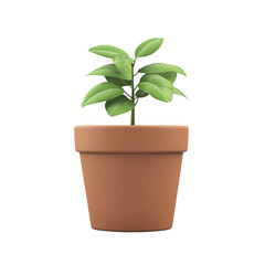 Obraz premium A small green plant in a terracotta pot, symbolizing growth and nature.