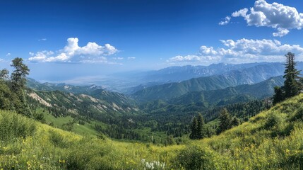 Fototapeta premium Mountain Valley Panorama Summer Hike