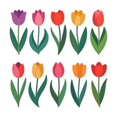 Obraz premium A Luxurious Nature-Inspired Tulip: Vibrant, Colorful, and Bright Blooming Tulip Flowers