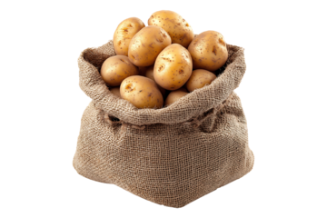 Fresh harvested potatoes in a burlap sack isolated on transparent background
