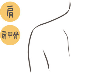 女性の肩のパーツイラスト