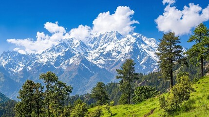 Fototapeta premium Majestic Snowy Mountain Peaks