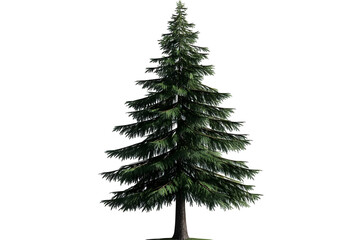 Isolated Realistic Evergreen Fir Tree With Transparent Background