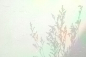 Obraz premium 컬러풀한 식물 그림자 배경,표지 이미지