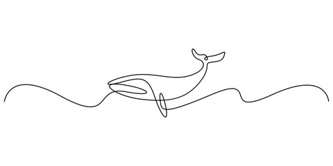 Obraz premium Continuous single drawn one line drawing of whale. Vector illustration