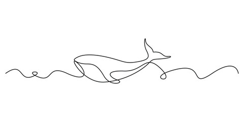 Continuous single drawn one line drawing of whale. Vector illustration