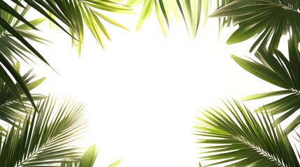 Fototapeta premium Tropical Paradise: Lush Green Palm Leaves Frame