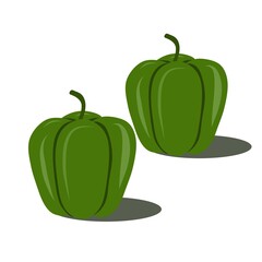 green pepper illustration isolate on white background