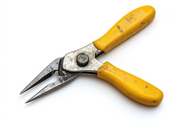 Obraz premium Tile nipper isolated on white background