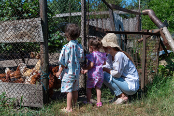 田舎で鶏に餌をあげる親子