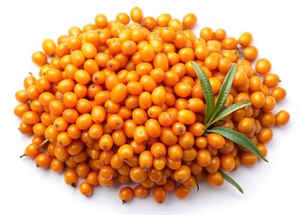A large pile of fresh orange sea buckthorn berries with green leaves on a white background