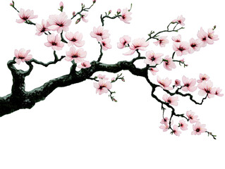 Fototapeta premium Isolated Blossom Branch Illustration With Pink Flowers And Transparent Background