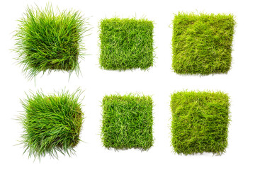 Lush Green Grass Patch Variations for Landscaping