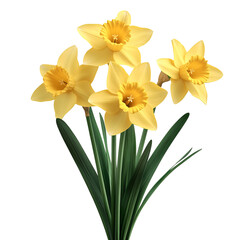 A 3D Vibrant Daffodil Plant with Large Bright Yellow Isolated on Transparent Background
