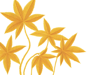 Isolated Golden Leaf Illustration With Black Background and Transparent PNG