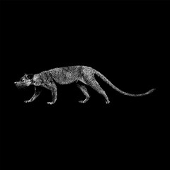 Fossa hand drawing vector isolated on black background.