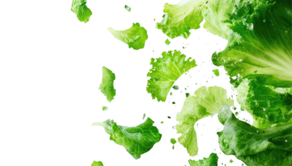 Fresh lettuce leaves in motion