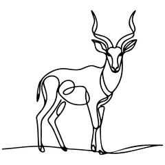 Antelope Line Art.