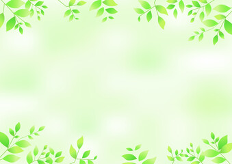 爽やかな新緑の背景イラスト