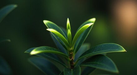 Vibrant Green Plant Close Up Photography: Nature's New Growth in Lush Foliage