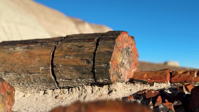 Petrified log with dark exterior and vibrant mineralized core lies on sandy ground at Petrified Forest National Park. Broken fragments scattered nearby contrast with layered hills and clear blue sky.