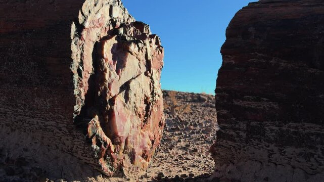 Large petrified log split into pieces stands in desert landscape at Petrified Forest National Park. Sunlight casts shadows on mineralized surface, highlighting colors and textures of fossilized wood.