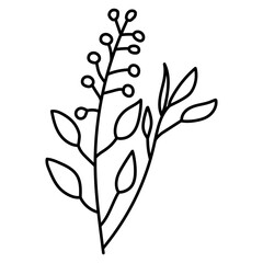 Wildflower