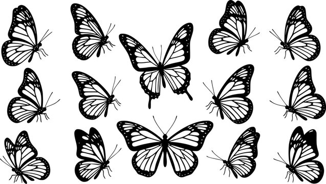 Set of contours of  monarch butterflies with different wings isolated on a white background. Vector silhouette of butterfly is perfect for patriot sticker, icon and decoration design