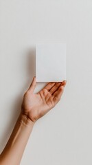 Minimalist Color Selection Guide Professional Painting Contractor Showcasing Crisp White Design Palette for Modern Interior Styling and Home Renovation Trends